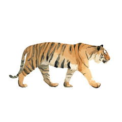 Obraz premium Majestic Tiger Walking Vector Illustration 1.