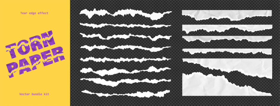 Jagged torn paper rip edge effect on clean white recycled sheet texture. Vector illustration collection includes page piece, blank card, tag label divider element cut line on like transparent png bg