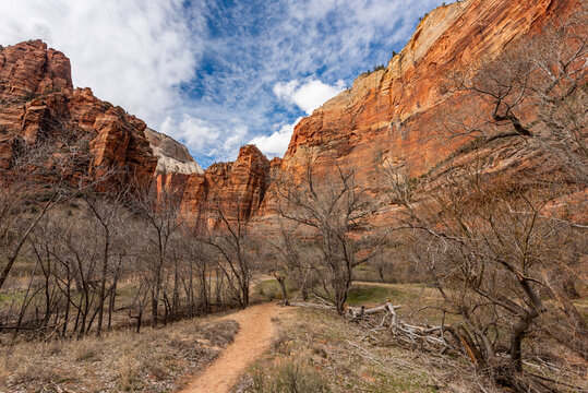 Beautiful palce in Zion Natinal Park, Utah, USA