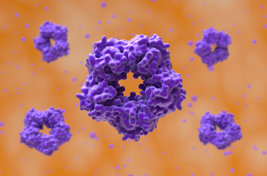C-reactive protein (CRP) - closeup view 3d illustration