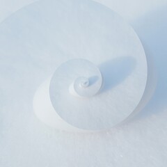 compact disc in the snow