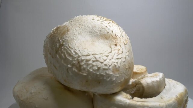 Fresh mushrooms rotate slowly on a white plate in a studio, showcasing their smooth caps and natural textures from a close-up perspective.