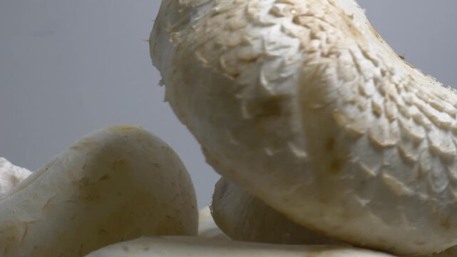 Fresh mushrooms rotate slowly on a white plate in a studio, showcasing their smooth caps and natural textures from a close-up perspective.