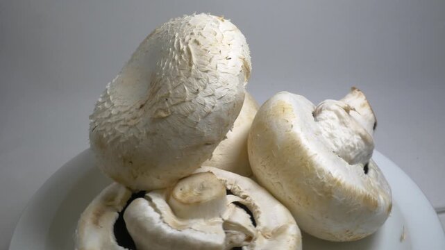Fresh mushrooms rotate slowly on a white plate in a studio, showcasing their smooth caps and natural textures from a close-up perspective.