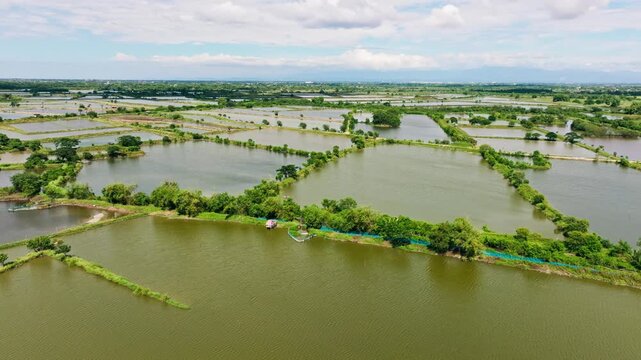 Sideward drone flight above tranquil fishponds in Lingayen Pangasinan