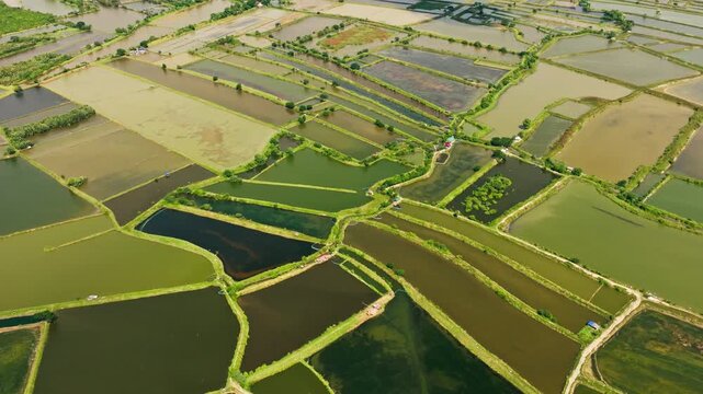 Drone tilts up above coastal fishponds in Lingayen Pangasinan sunny cloudy day