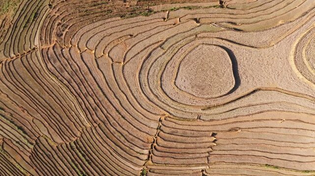 Aerial footage reveals an oval 'eye' shaped paddy surrounded by concentric terraces in a top-down view in Mui Giay, Mu Cang Chai district, Yen Bai province, Vietnam.
