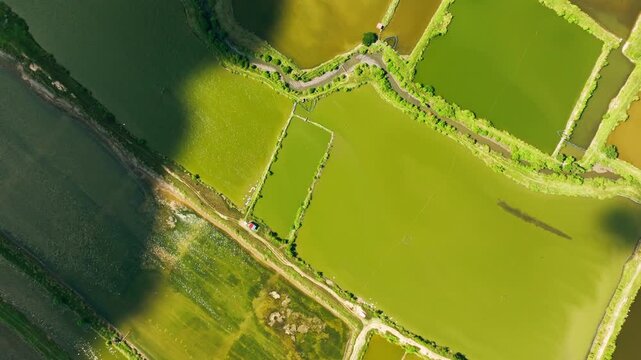 Drone flies opposite to moving cloud shadows above fishponds in Philippines