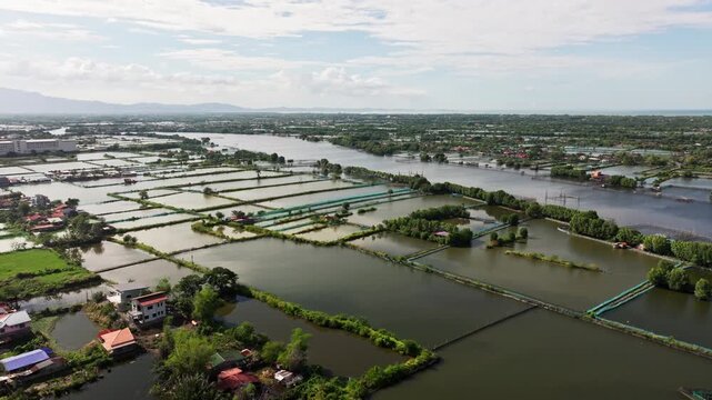 Milkfish ponds in Pangasinan Philippines with parallel basins and calm river