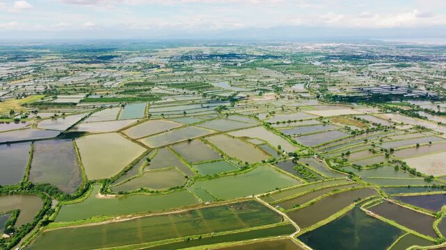 Drone moves right, patterned fishpond landscape in Pangasinan Philippines
