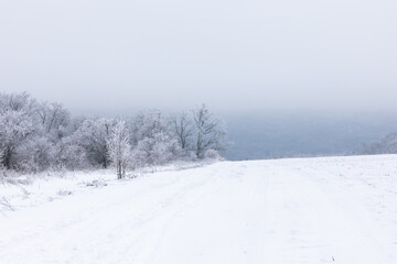 Obraz premium Winter Landscape with Ice Covered Trees, Frozen Forest After Severe Frost, Cold Weather Nature Background
