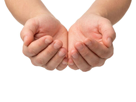 Empty cupped human hands held out against grey background with copyspace for charity or giving concepts. outdoor background. PNG.