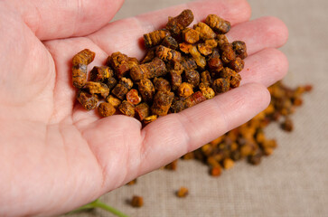 Pieces of bee bread lying on human hand
