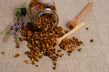 Beebread or parchment grains on table close up, spoon stirring pollen perga, close-up