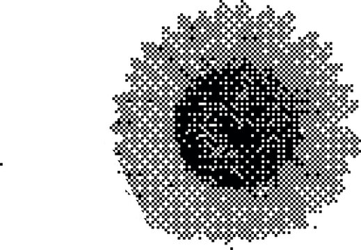 Retro Dithered Peony Flower Graphic with Vintage Lo-fi Pixel Art Texture and Gritty Black and White Dot Matrix Style