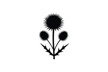 Thistle flower plant silhouette with prickly leaves and sharp blossoms isolated on plain white background art