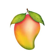Mango and leaves PNG isolated on transparent background, fresh fruit for healthy eating and summer designs.