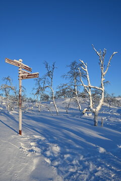 directions in the snow