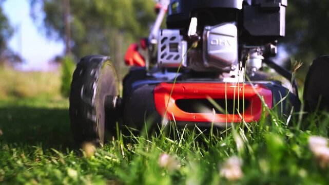 Woman with a lawn mower mows the lawn in the yard of the house
