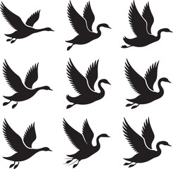 Obraz premium Collection of flying duck silhouettes in various positions