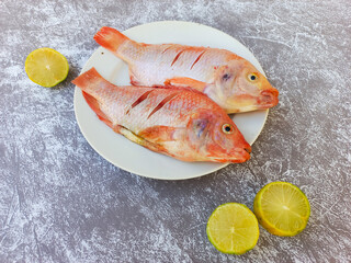 Raw red tilapia on a white plate looks fresh, rich in animal protein
