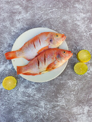 Raw red tilapia on a white plate looks fresh, rich in animal protein