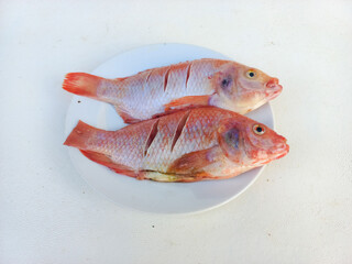 Raw red tilapia on a white plate looks fresh, rich in animal protein