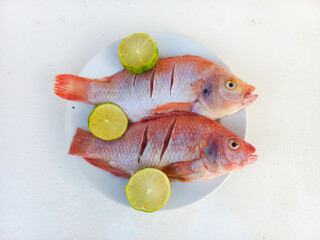 Raw red tilapia on a white plate looks fresh, rich in animal protein