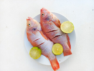 Raw red tilapia on a white plate looks fresh, rich in animal protein