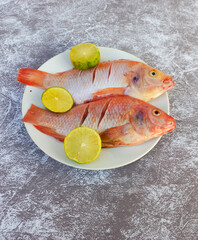Raw red tilapia on a white plate looks fresh, rich in animal protein