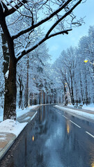 Snow-covered road winding through a winter forest with tall trees, reflecting light from street lamps and a serene atmosphere in the early morning