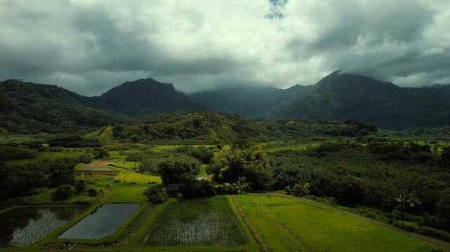 Drone aerial over green valleys and mountains of Kauai Hawai
