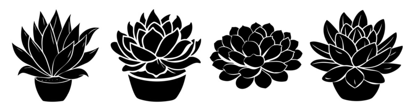 Minimalist black and white vector icon set of four succulent plants in pots isolated on white background