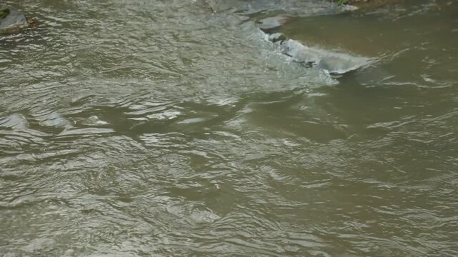 Calm river flows over rocks, creating soothing natural ambiance