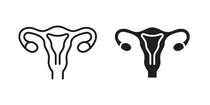 Uterus icons in different styles. Simple icon design