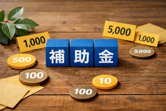 補助金制度を分かりやすく示すブロックと金額表示で支援内容イメージ