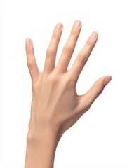 Fototapeta premium Open human hand gesture isolated on white background for communication and concept
