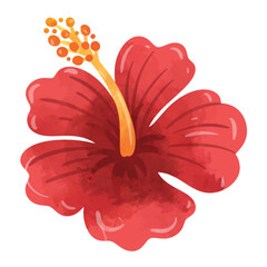 Hibiscus flower vector, hibiscus flower vector art, hand drawn watercolor painting style, hibiscus flower clip art, hibiscus clip art © logomimi