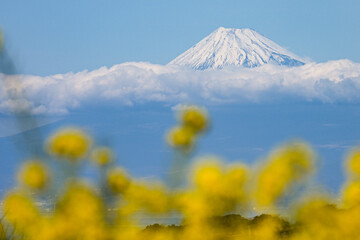 日本の象徴・富士山の写真画像