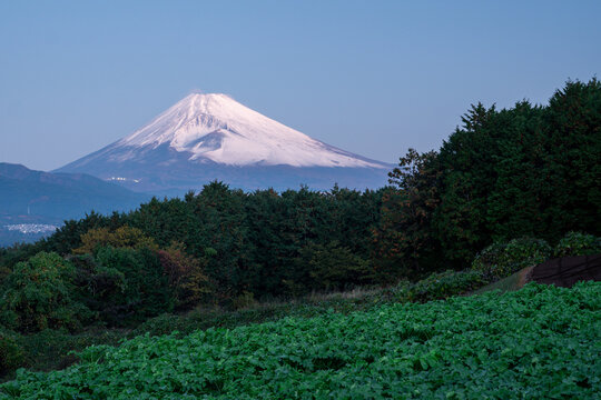日本の象徴・富士山の写真画像