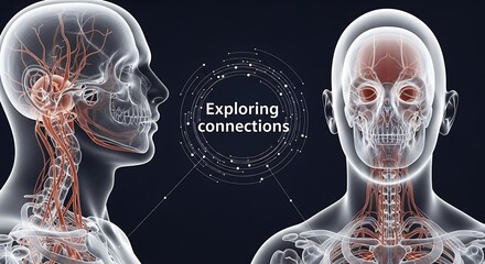 Digital rendering illustrates complex human anatomy with focus on circulatory and skeletal systems