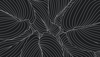 Colorfull botanical abstract contemporary seamless pattern background. Nature art Tropical line Hand drawn floral palm leaves Design for fashion , fabric, textile, and all prints.  © Sri drawing