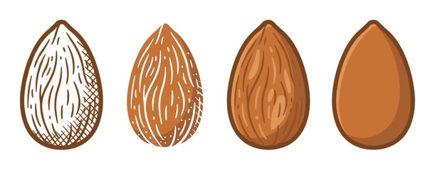 Set of four almond nut illustrations showing different artistic styles from detailed engraving and woodcut to a simple flat cartoon vector icon for food and nutrition concepts