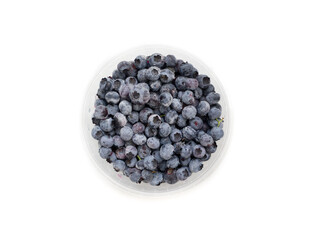 Frozen bog bilberry.