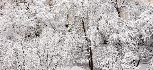The Architecture backgrounds. Winter.