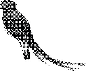 Fototapeta premium Retro Pixel Art Silhouette of a Parrot Bird with Vintage Stipple Dither Texture Isolated on White Background