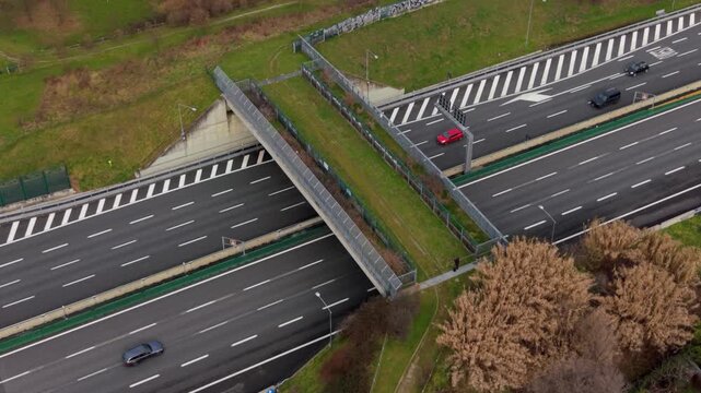 Wildlife crossing green bridge ecoduct over highway traffic