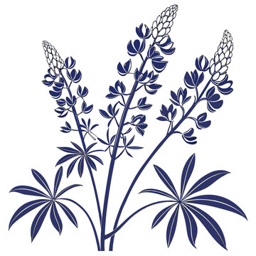 bluebonnets silhouette on white background