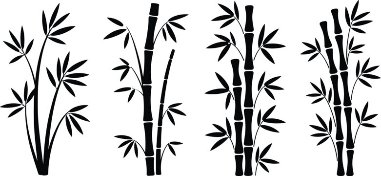 Minimal bamboo plant silhouettes set, black botanical vector illustration, Asian nature symbol, Zen decor, eco design, isolated white background art