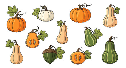Various Pumpkins and Gourds on White Background